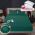 Pachet Promo: Huse/Topper pentru saltea cu elastic 180x200 cm, Verde, PH-086