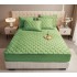 Huse/Topper pentru saltea cu elastic 180x200, Verde, HTC-009