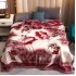 Patura Cocolino dubla si pufoasa perfecta pentru sezonul rece 200 x 230 cm, Bordo-Crem, flori, PCM-022