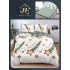 Lenjerie Pat Dublu Bumbac Satinat Superior 4 Piese cu Elastic – Model Stele Aurii & Comete Verde Salvie, LDBSE-036