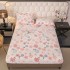 Cearșaf cu Elastic Cocolino 180x200x25 cm + 2 Fețe de Pernă 50x70 cm – Model Floral Roz, HC-088