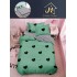 Lenjerie Bumbac Finet Superior 4 Piese Pat 1 Persoană cu Cearșaf cu Elastic – Model Inimi, Verde Mentă, YEM-013