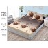 Cearșaf cu Elastic Bumbac Satinat 180x200 cm + 2 Fețe de Pernă – Model Inimi Florale Maro și Crem, OHT-097