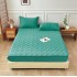 Husă / Topper Saltea 180x200 cm cu Elastic + 2 Fețe de Pernă – Turquoise, HTC-038