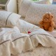Lenjerie de Pat Premium 4 Piese, Bumbac 100%, cu Volănașe din Dantelă,Cearceaf Elastic– Crem - Roz, LBB-006 Lenjerii 100% Bumbac