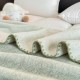 Pătură Jojo Home din Cașmir Artificial 200x230 cm – Moale, Pufoasă și Călduroasă, Verde Mentă, PJC-015 Paturi cu Margine