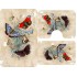 Set 3 Covorase Baie Antiderapante, Crem-Multicolor, fluturi, CAM-077